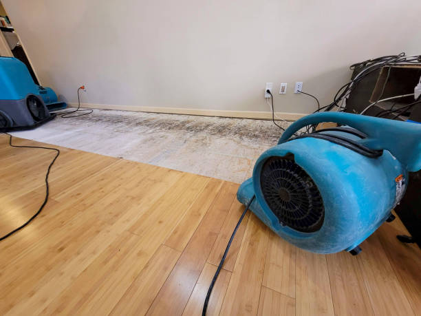 Professional Basement Flood Cleanup technician working in Springlake, TX